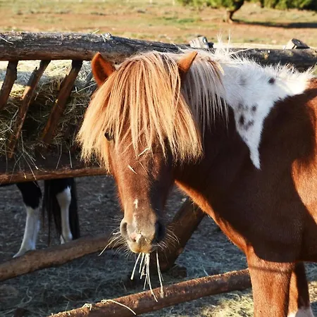Monte Rosso Frühstückspension Poreč