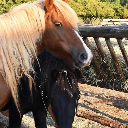 Monte Rosso Frühstückspension 4*