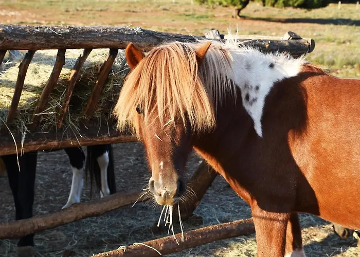 Monte Rosso לינה וארוחת בוקר פורץ