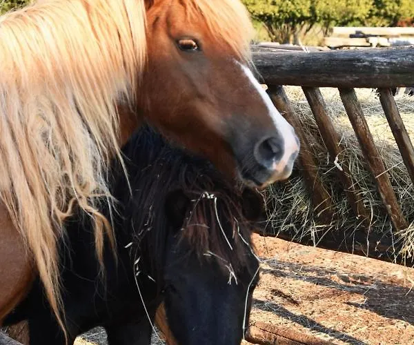 Monte Rosso לינה וארוחת בוקר 4*